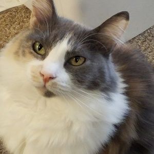 Meet your Posher, Ricki